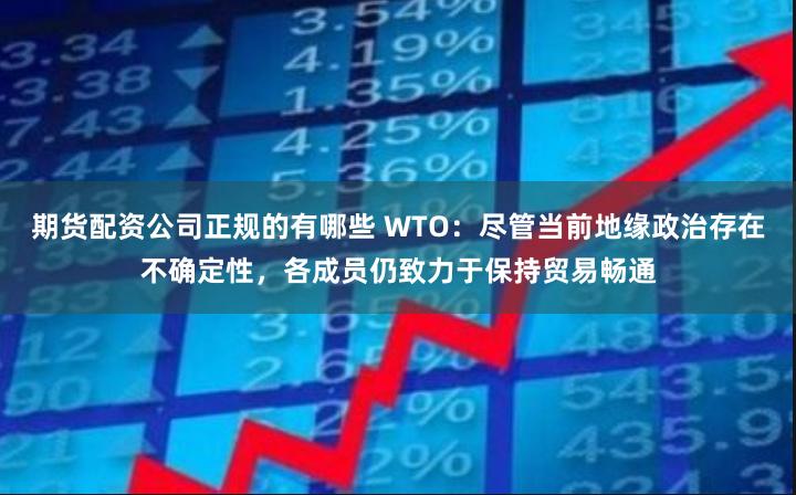 期货配资公司正规的有哪些 WTO：尽管当前地缘政治存在不确定性，各成员仍致力于保持贸易畅通